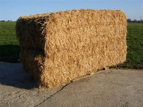 Stroh in Quaderballen