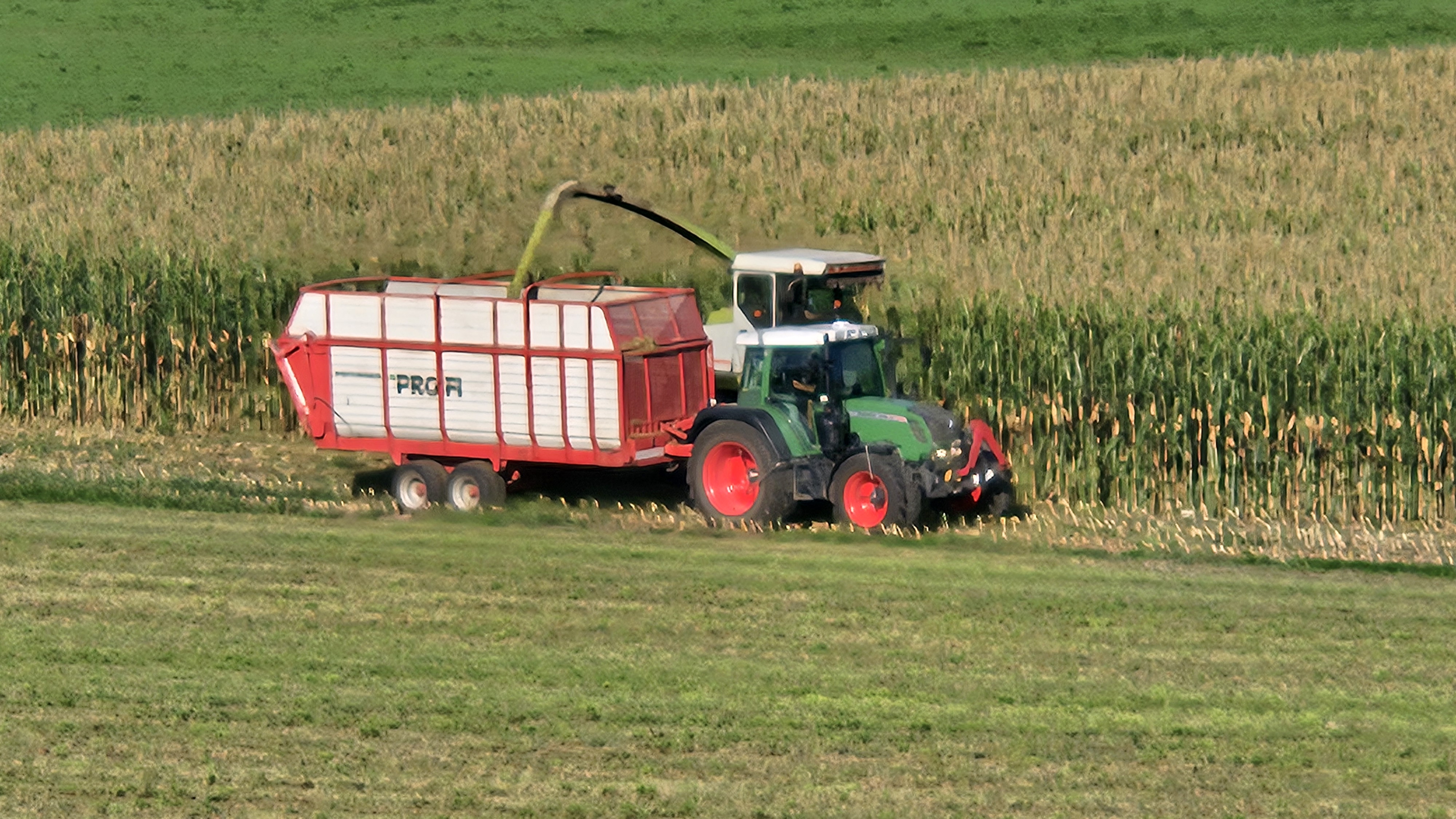 Maiballen oder Mais ab Feld