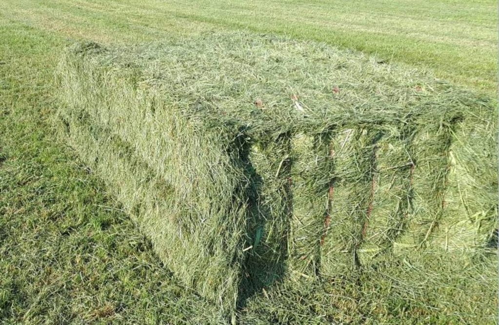Heu in Quaderballen