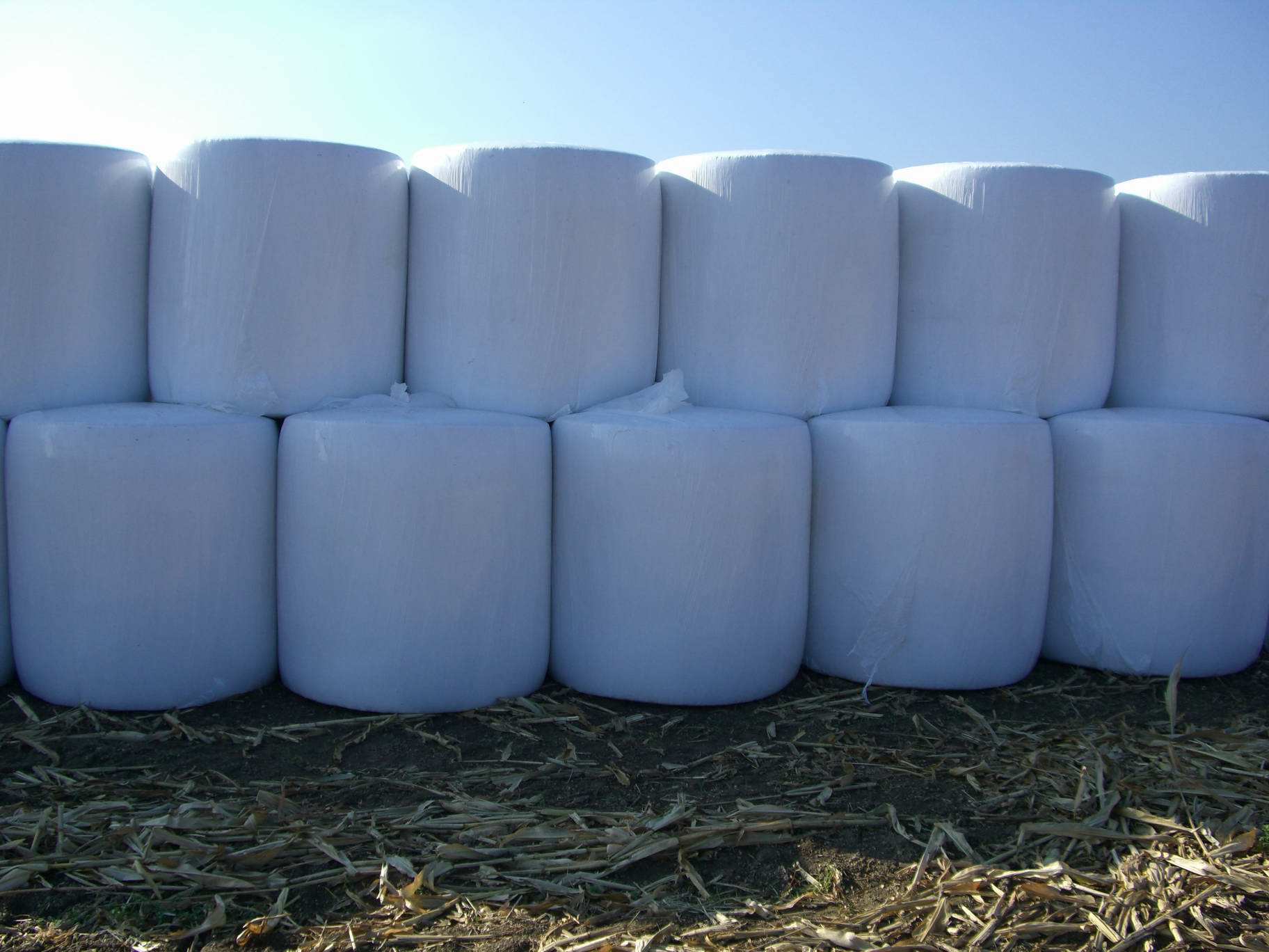 Maisballen (Herkunft Deutschland)